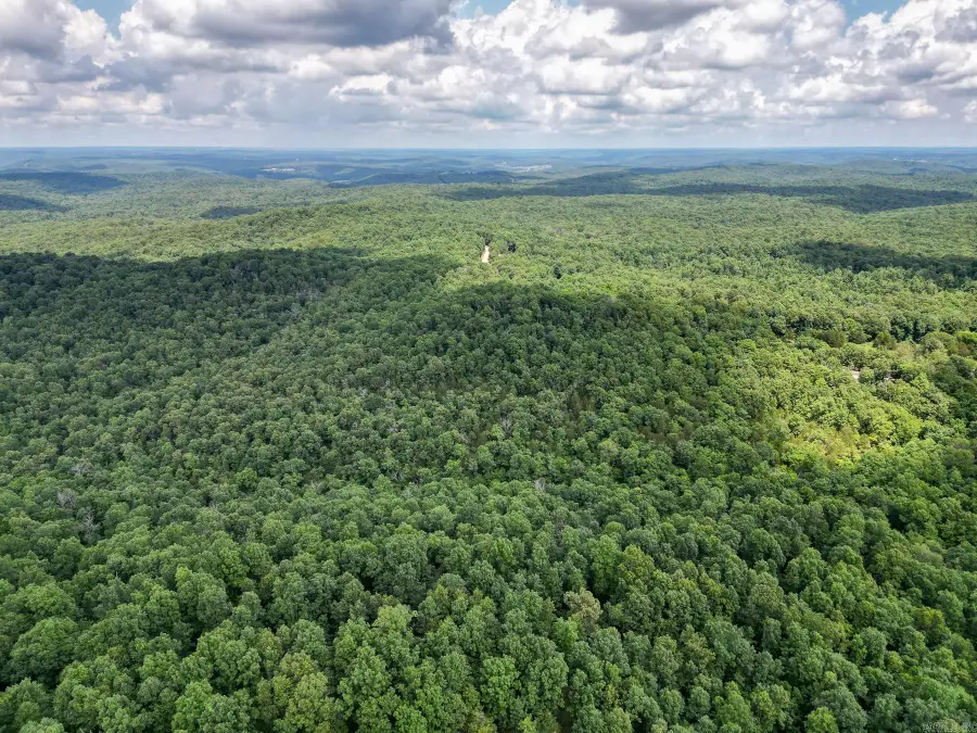 52 Summerfield Creek Road, Williford, AR 72482 - #3