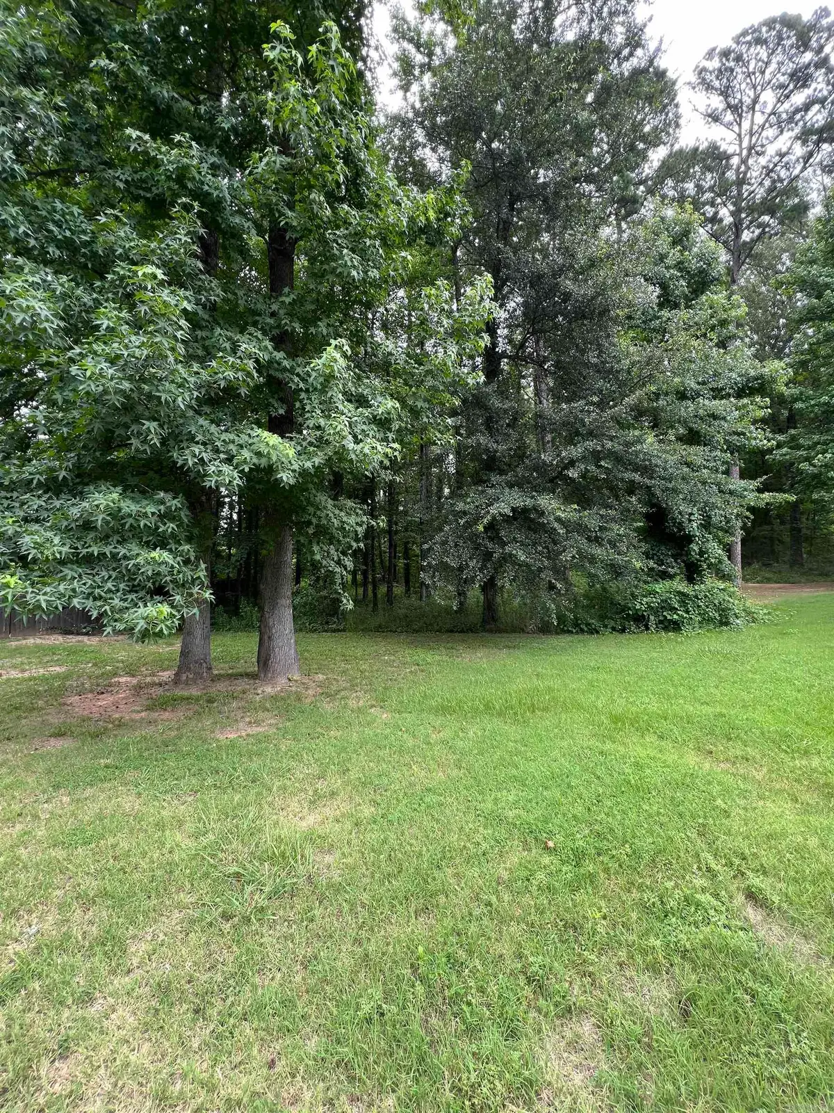 9999 Dawson Cove, Mayflower, AR 72106 - #1