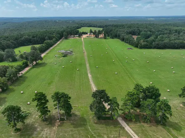 548 Cornerstone Road, Pleasant Plains, AR 72568
