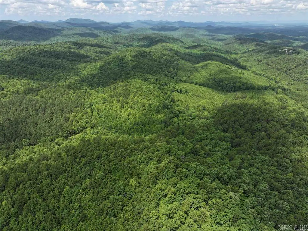 TBD Polk Road 61. Lot #10, Mena, AR 71953 - #1