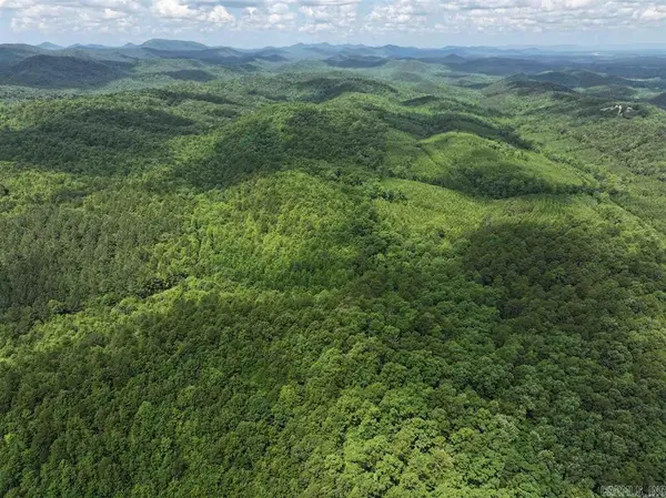 TBD Polk Road 61. Lot #11, Mena, AR 71953