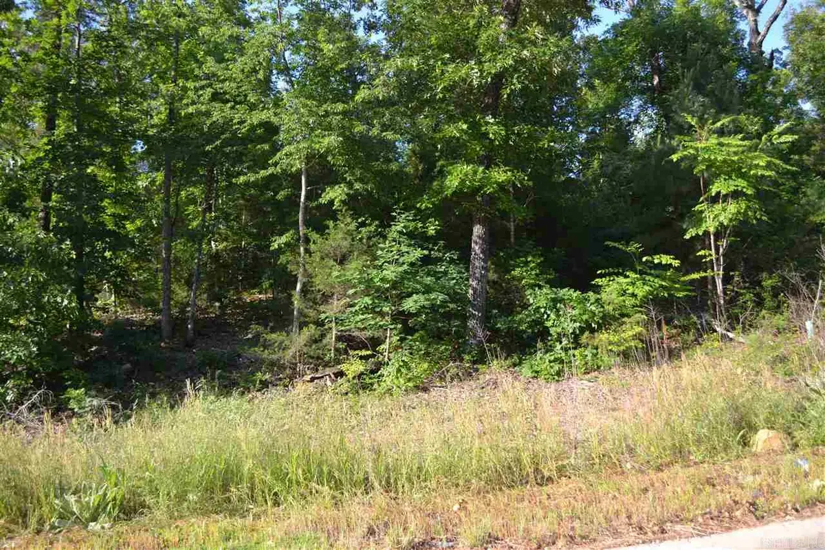Lot 4 Knifechief Cove, Cabot, AR 72023 - #1