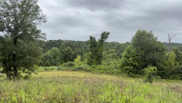 80 Acres Hwy 41, De Queen, AR 71832