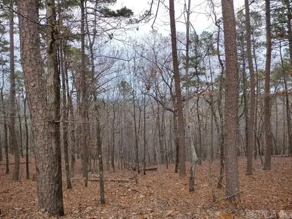 102 Mesero Way, Hot Springs Village, AR 71909