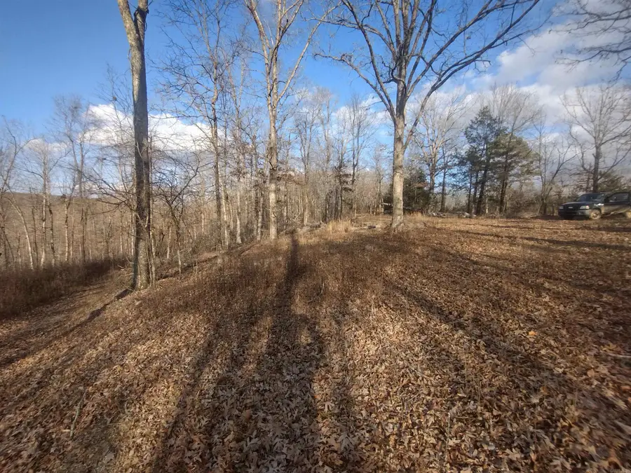 140 Brushy Creek Rd, Mountain View, AR 72560 - #2