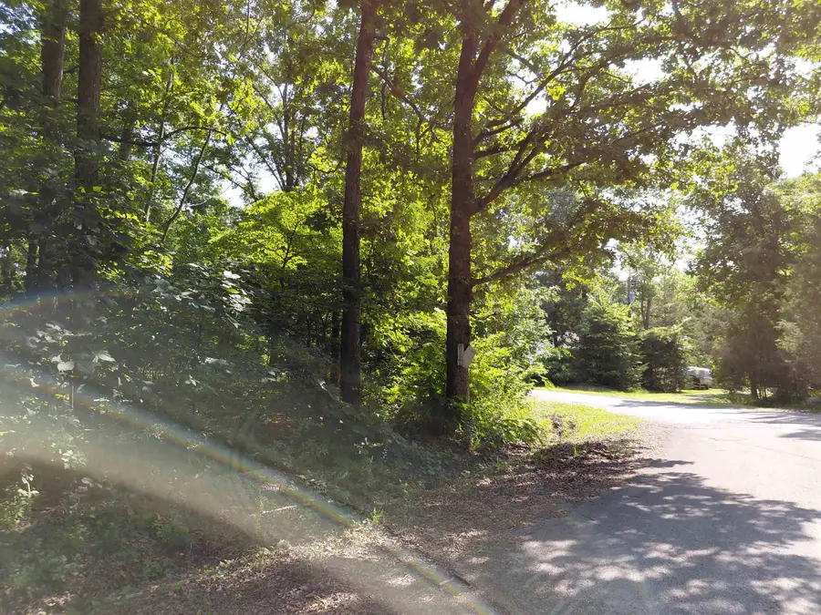 Buckboard Road, Ozark Acres, AR 72482 - #3