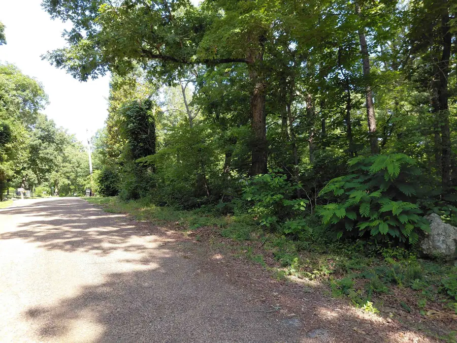 Vagabond Road, Ozark Acres, AR 72482 - #2