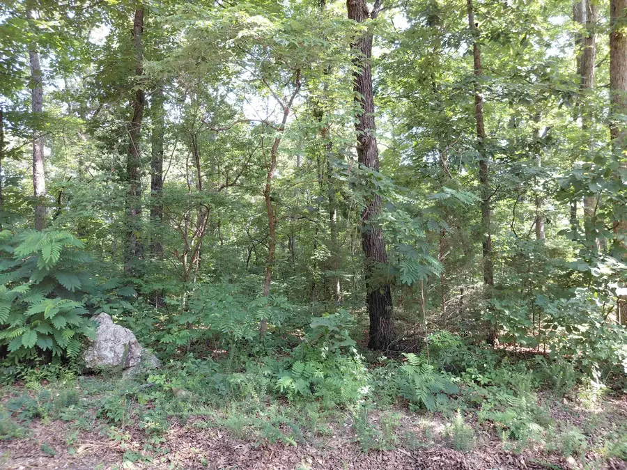 Vagabond Road, Ozark Acres, AR 72482 - #3