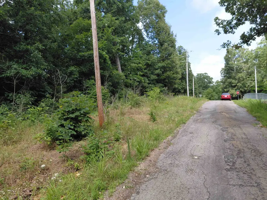 Ponderosa Drive, Ozark Acres, AR 72482 - #2