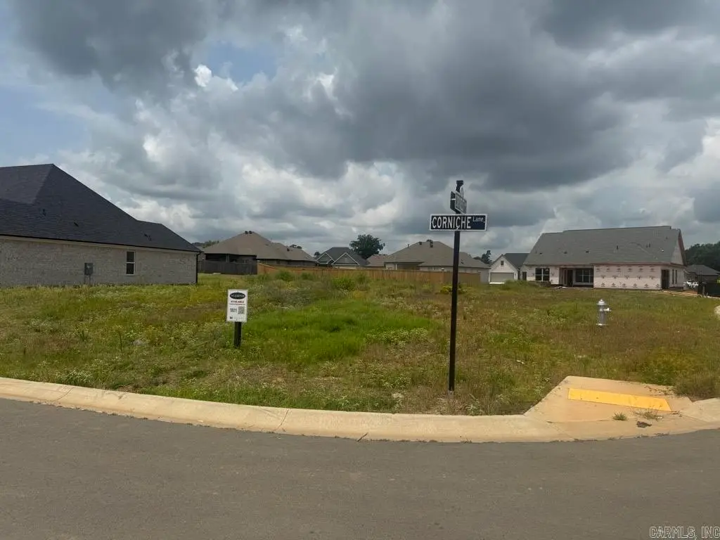 120 Corniche Lane, Maumelle, AR 72113 - #1