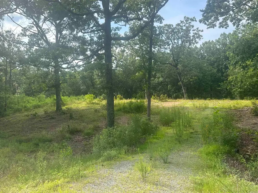 Lot 99 Vernon Court, Cabot, AR 72023 - #2