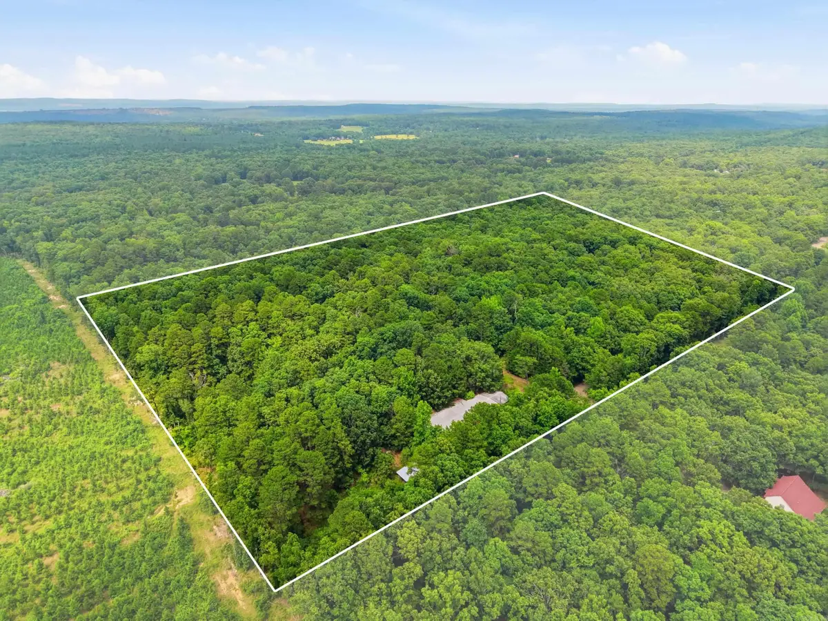 90 Mikoleit Road, Bigelow, AR 72016 - #1