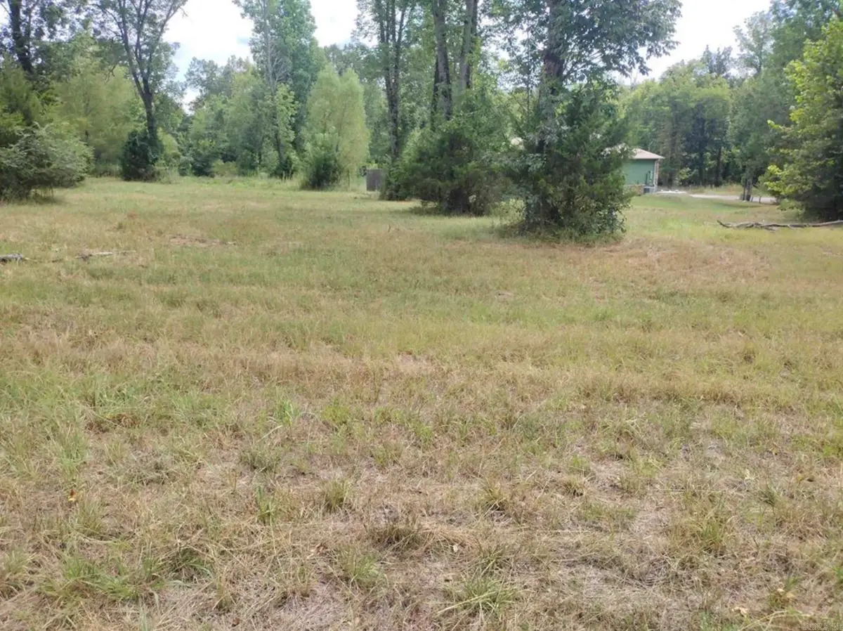 000 Frances Cove, Mountain View, AR 71560 - #1