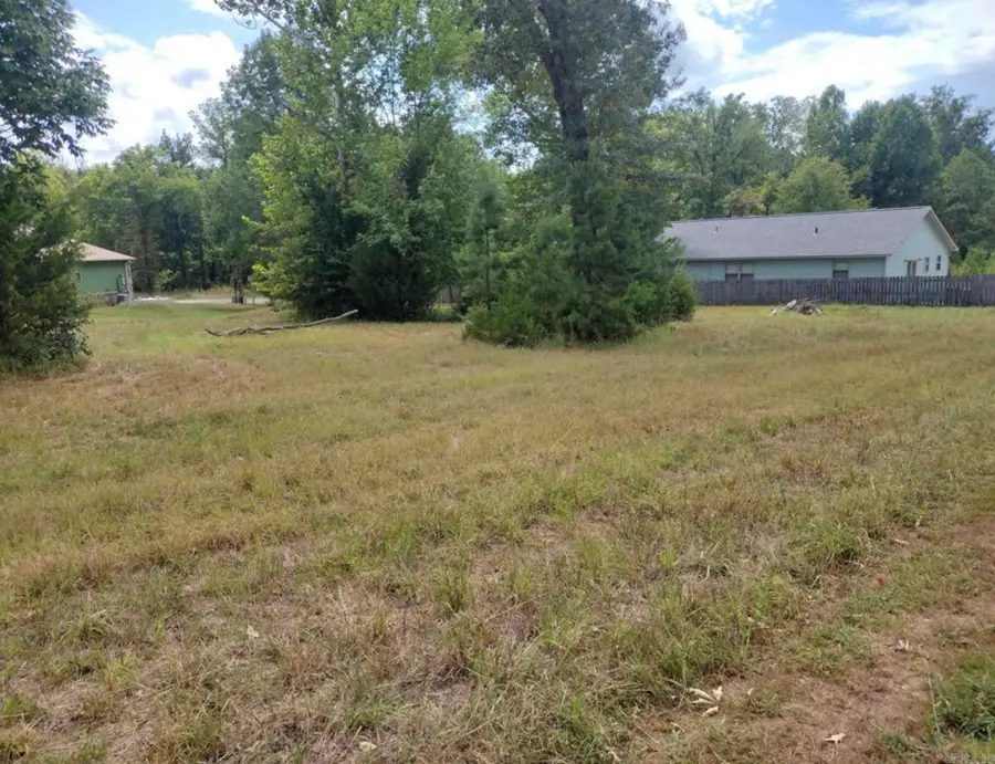 000 Frances Cove, Mountain View, AR 71560 - #2