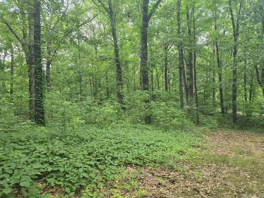 468 County Road 320, Jonesboro, AR 72401 - #3