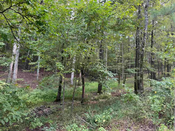17 Brilliante Lane, Hot Springs Village, AR 71909