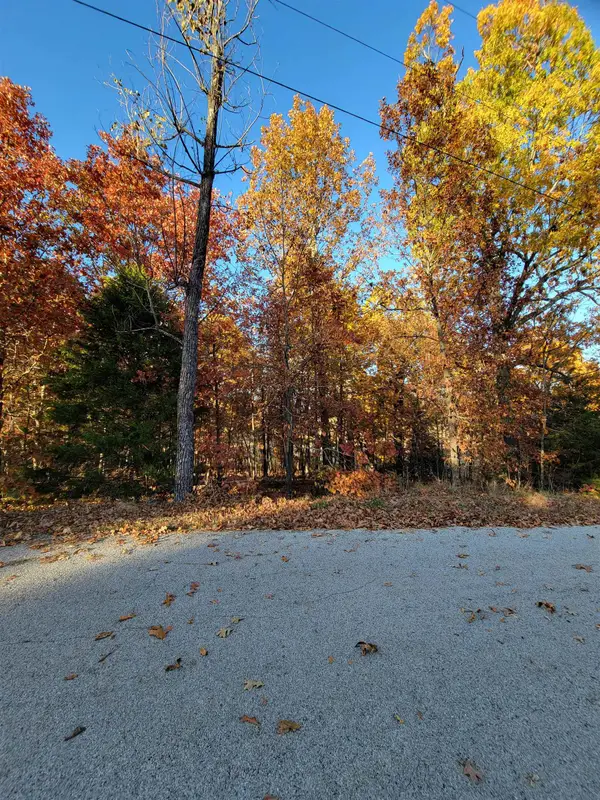 17 Tohatchi Circle, Cherokee Village, AR 72529