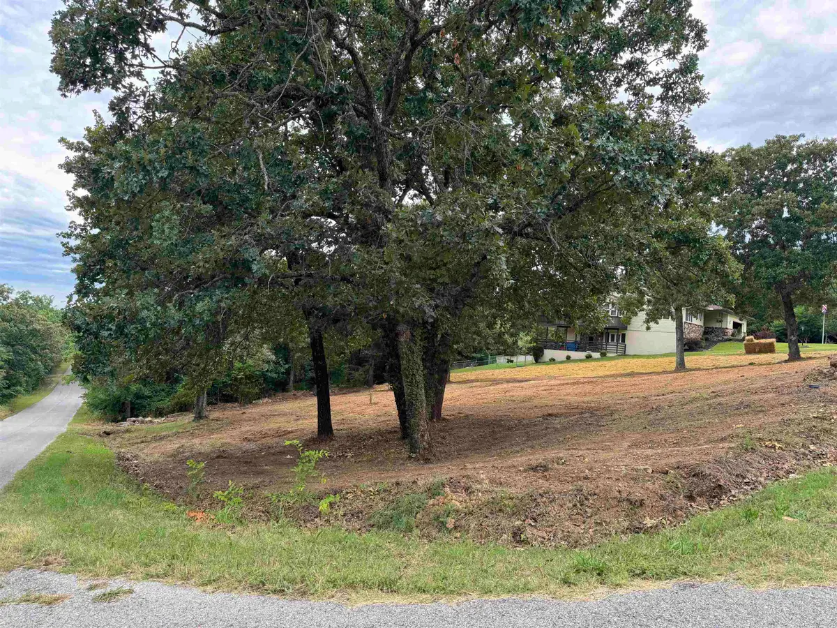 1207 North Shore Drive, Horseshoe Bend, AR 72512 - #1