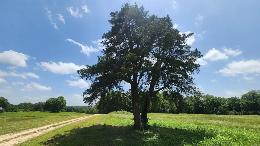 TBD (Tract 05) Whittington Homestead, Story, AR 71970 - #2