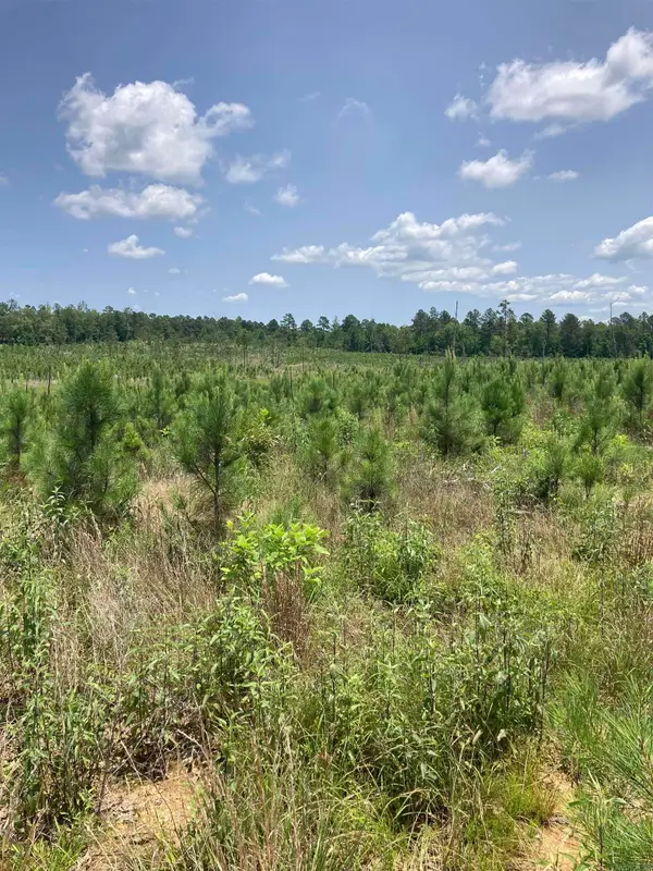 1405 BLOCK OF Beaudry Circle, Jessieville, AR 71949