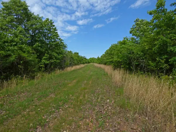 Herron Road, Ash Flat, AR 72513