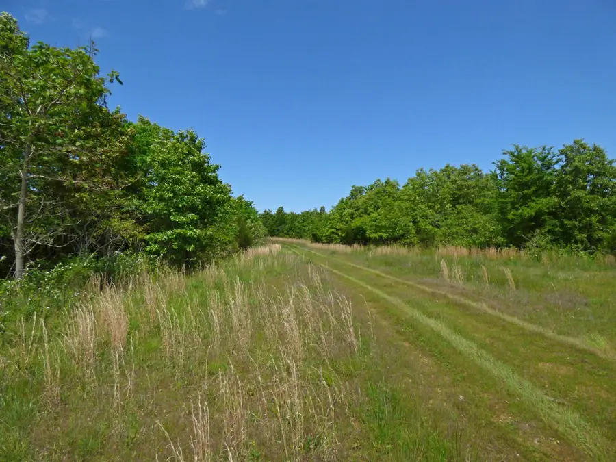 Herron Road, Ash Flat, AR 72513 - #3