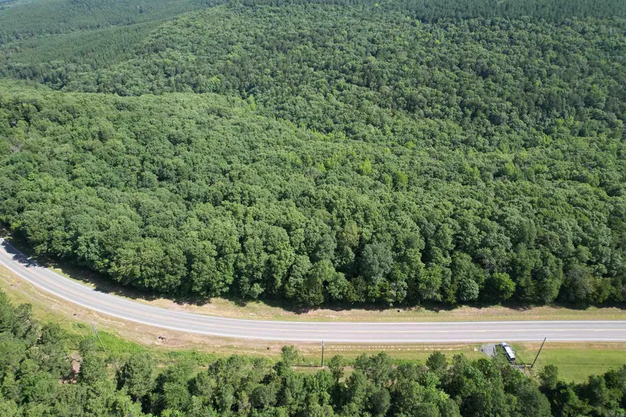 TBD Highway 92, Drasco, AR 72530 - #2