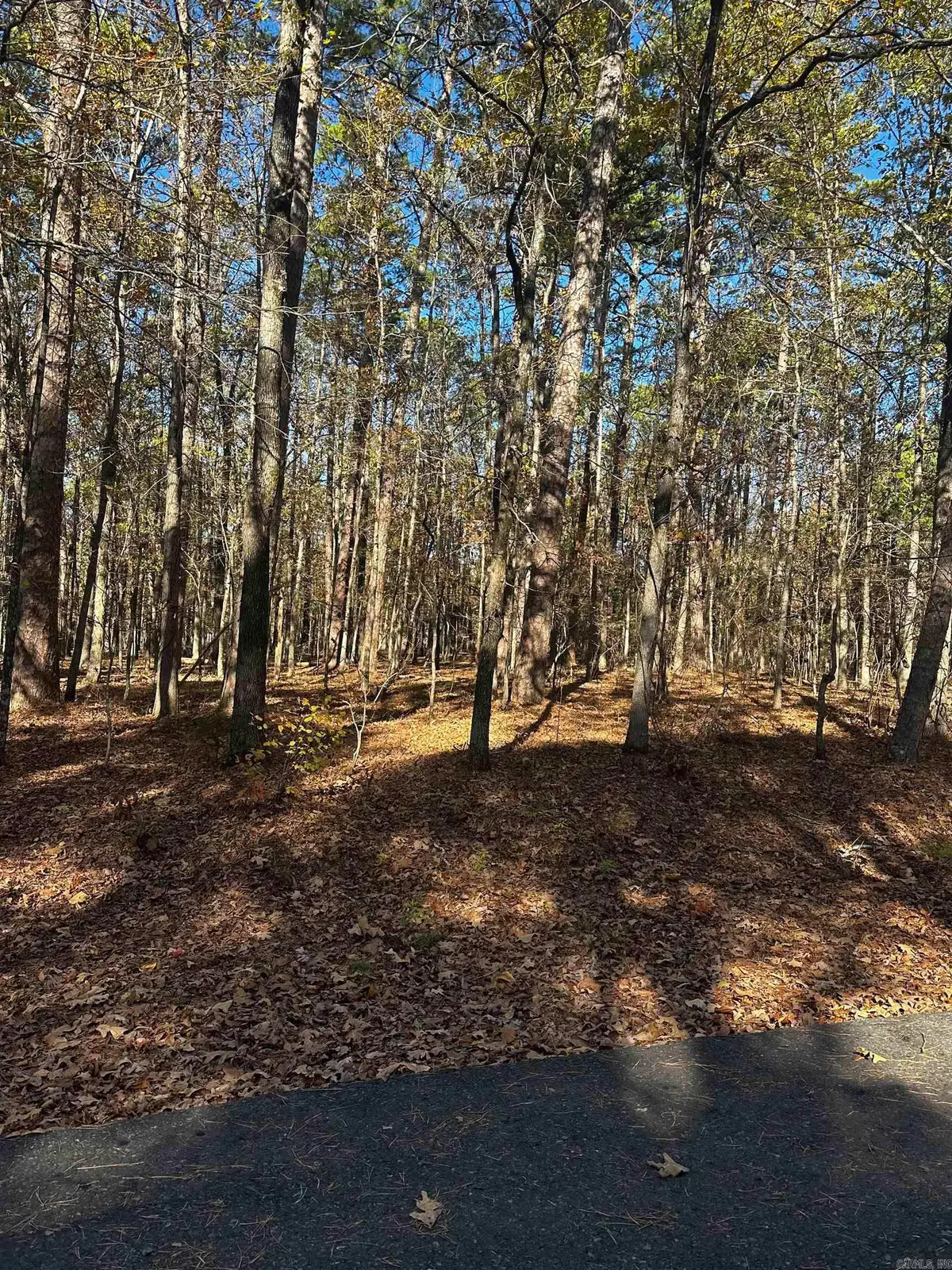 4 Holgar Lane, Hot Springs Village, AR 71909 - #1
