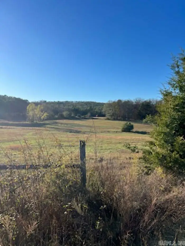 000 Banner Mtn Road, Shirley, AR 72153 - #1