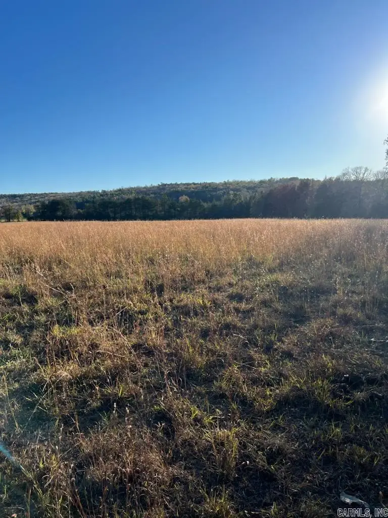 4035 Banner Mtn Road, Shirley, AR 72153 - #1