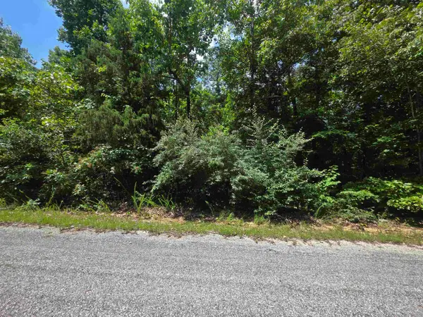 1101 S Michigan Avenue, Horseshoe Bend, AR 72512