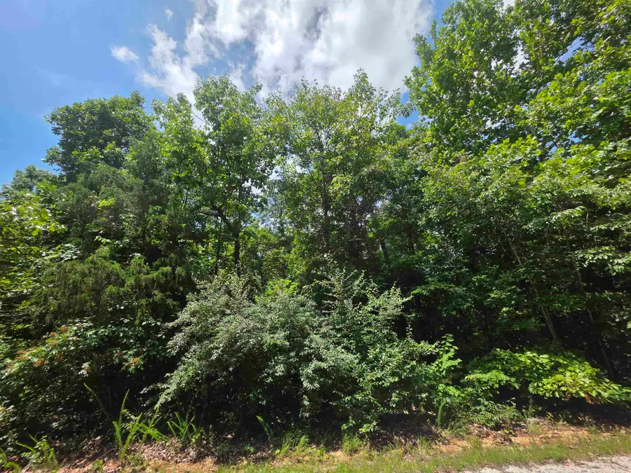 1101 S Michigan Avenue, Horseshoe Bend, AR 72512 - #2