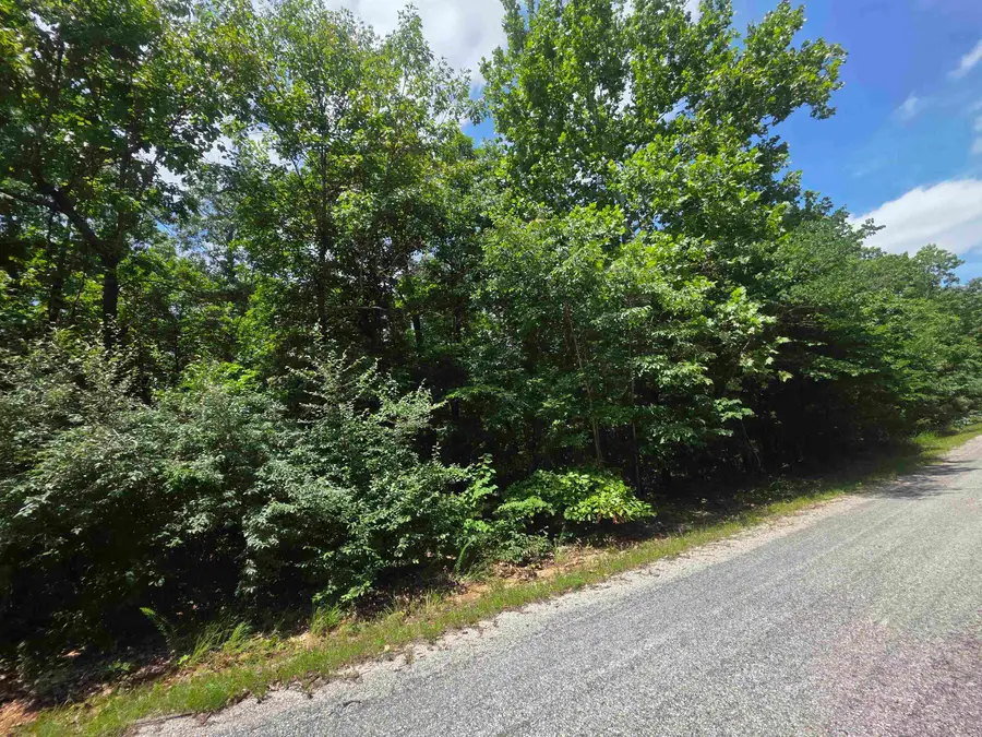 1101 S Michigan Avenue, Horseshoe Bend, AR 72512 - #3