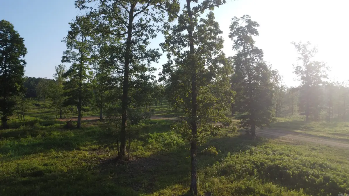 Tract 08 TBD Whittington Homestead, Story, AR 71970 - #1