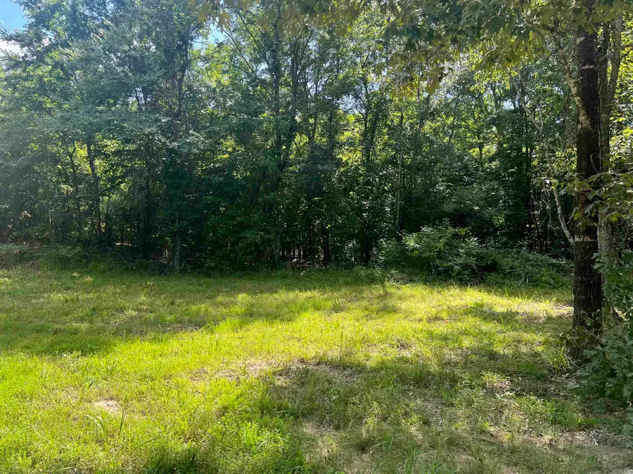 xx Peaceful Hills Road, Bonnerdale, AR 71933 - #2