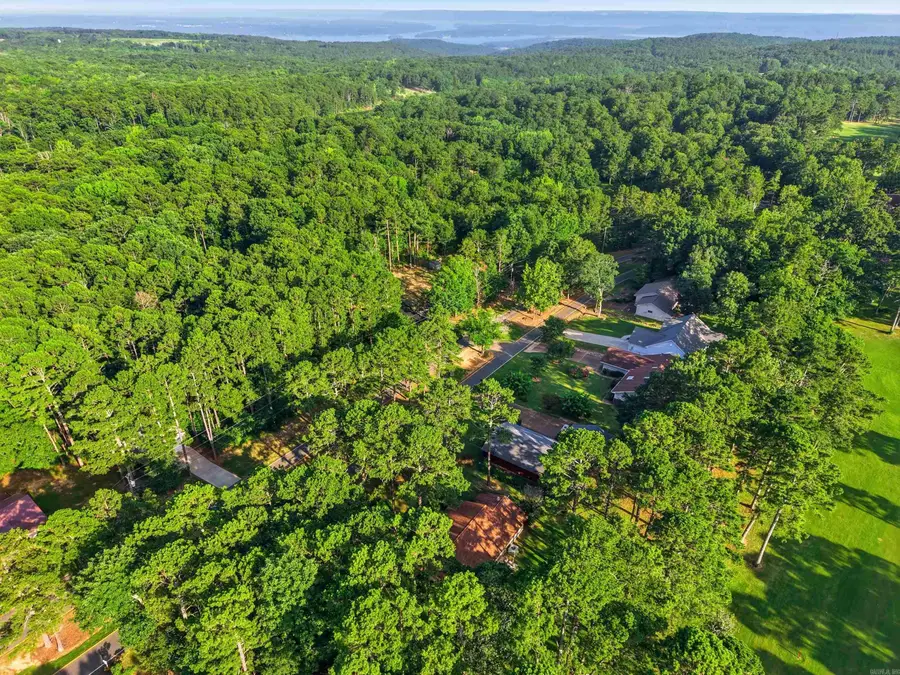 210 Snead Drive, Fairfield Bay, AR 72088 - #3