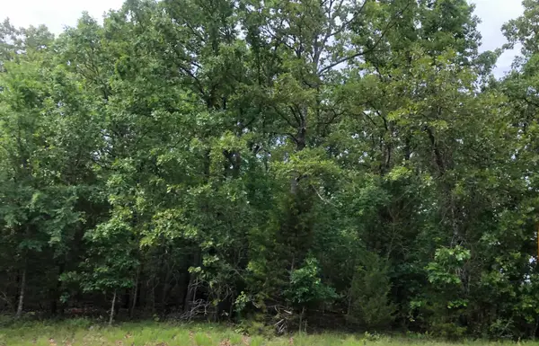 Lenapah Lane, Cherokee Village, AR 72529