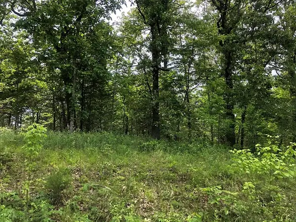 Assiniboin Lane, Cherokee Village, AR 72529