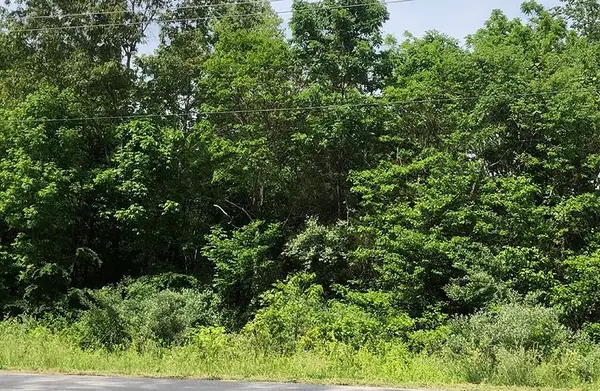 Quanah Drive, Cherokee Village, AR 72529