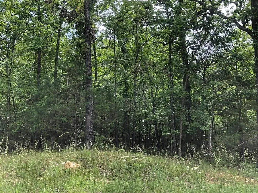 1608 Adams Circle, Horseshoe Bend, AR 72512 - #1