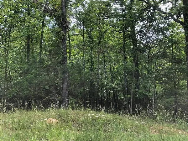 1608 Adams Circle, Horseshoe Bend, AR 72512