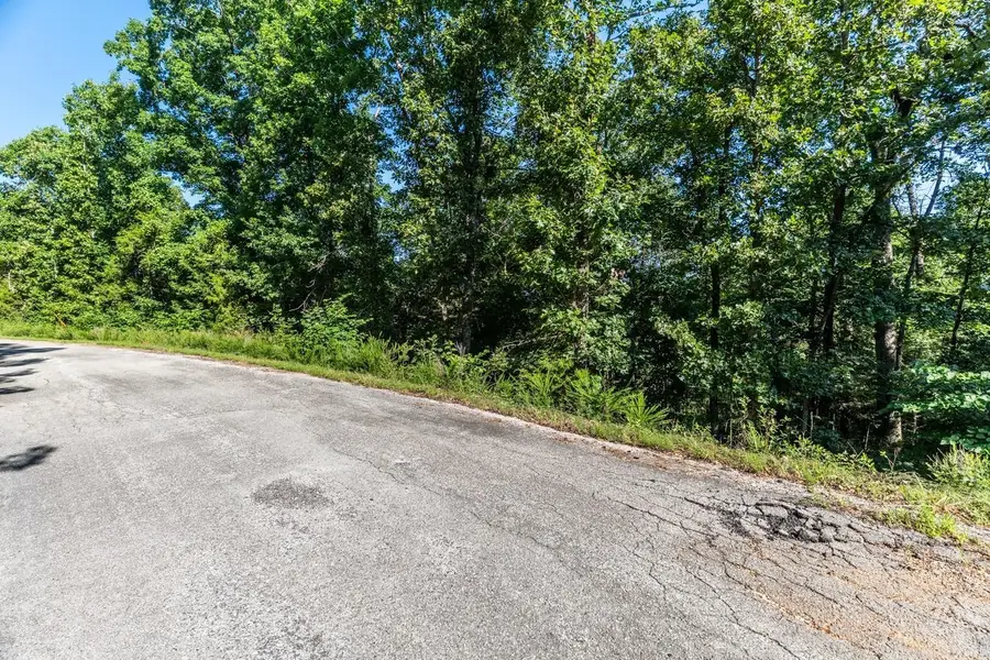 TBD San Ildefonso Drive, Cherokee Village, AR 72519 - #3