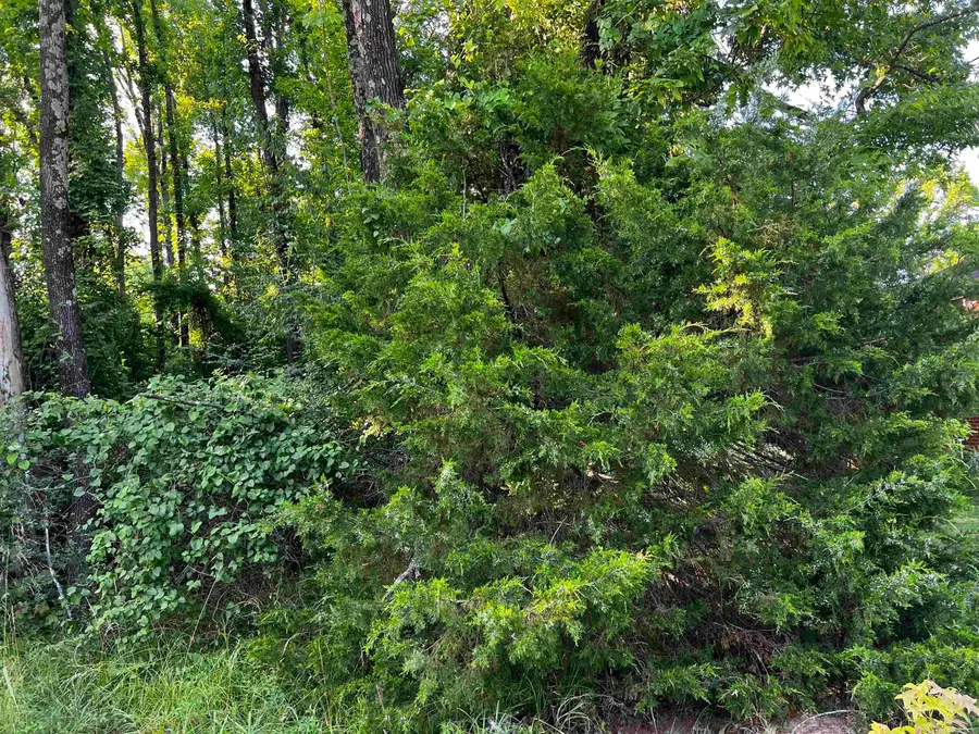 000 Simpson Street, Little Rock, AR 72206 - #3