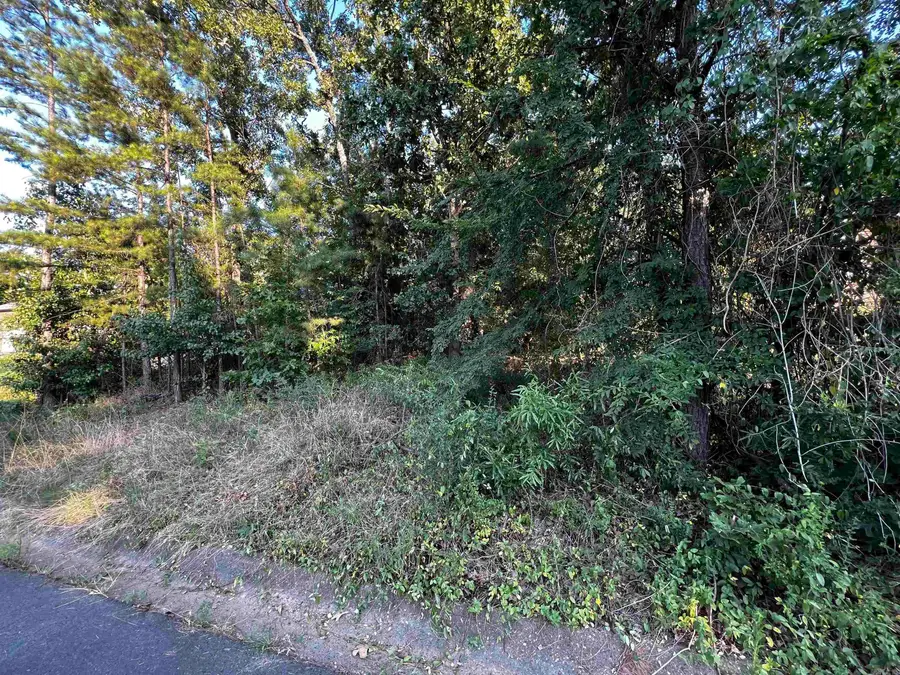 23 Park Ridge Drive, Maumelle, AR 72113 - #2