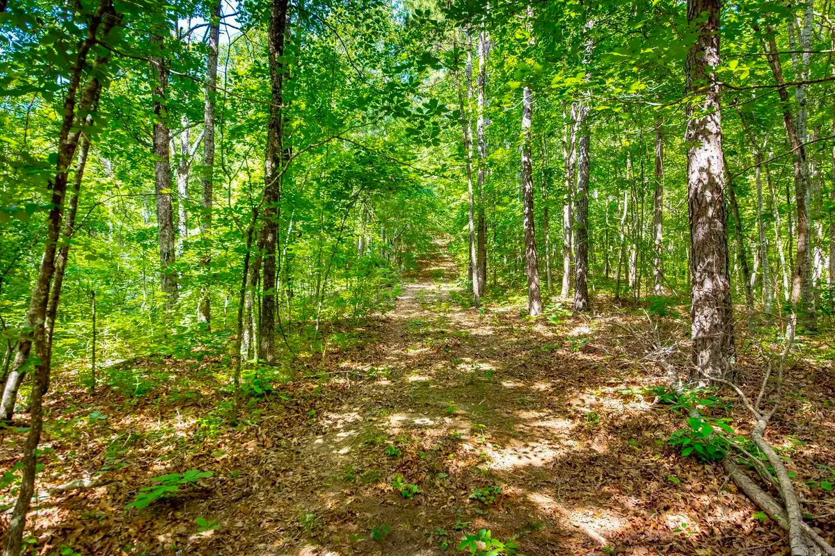Highway 16 West, Crabtree, AR 72031 - #1