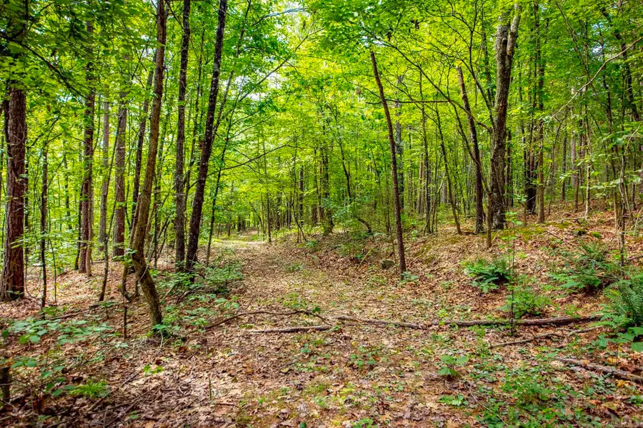 Highway 16 West, Crabtree, AR 72031 - #3
