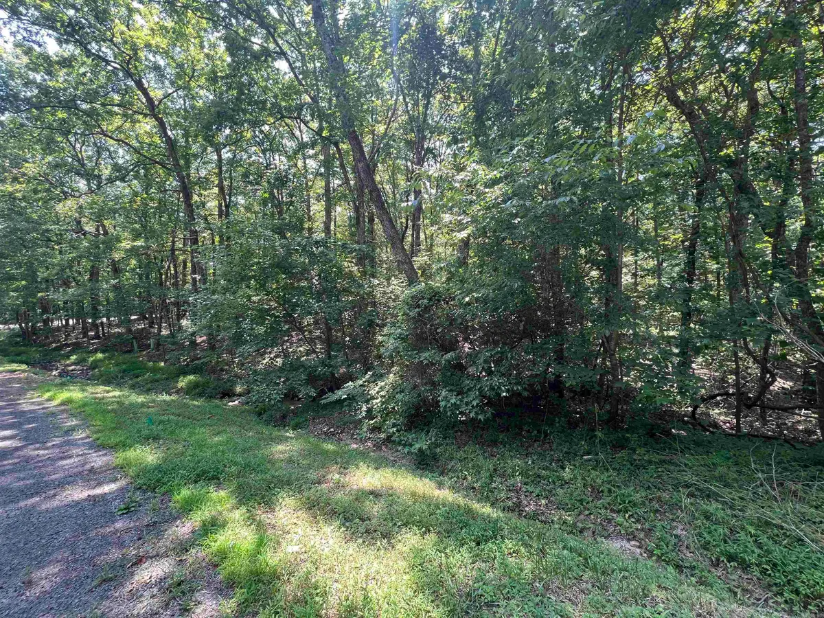 00 Castle Arms Place, Fairfield Bay, AR 72088 - #1