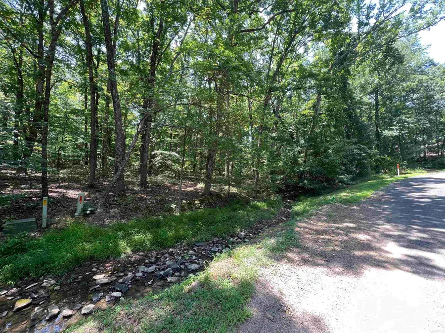 00 Castle Arms Place, Fairfield Bay, AR 72088 - #2