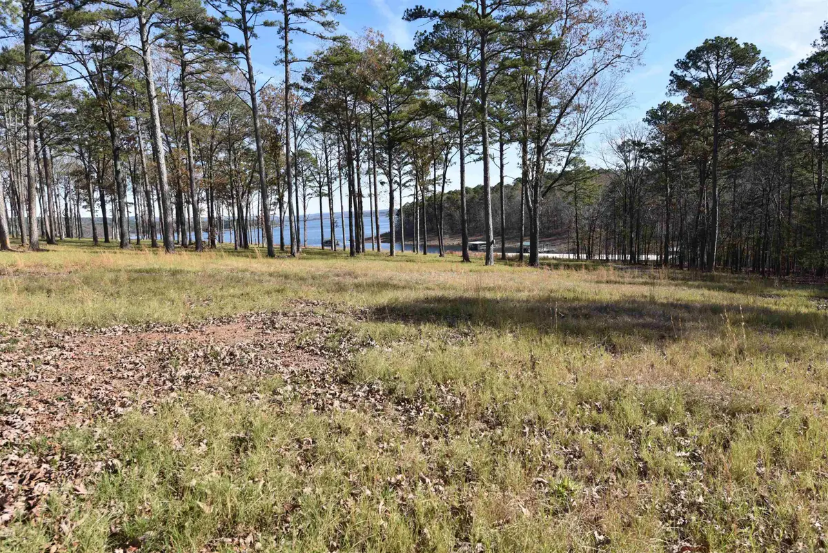 Tract 9 Sunnyside Of The Bay, Fairfield Bay, AR 72088 - #1