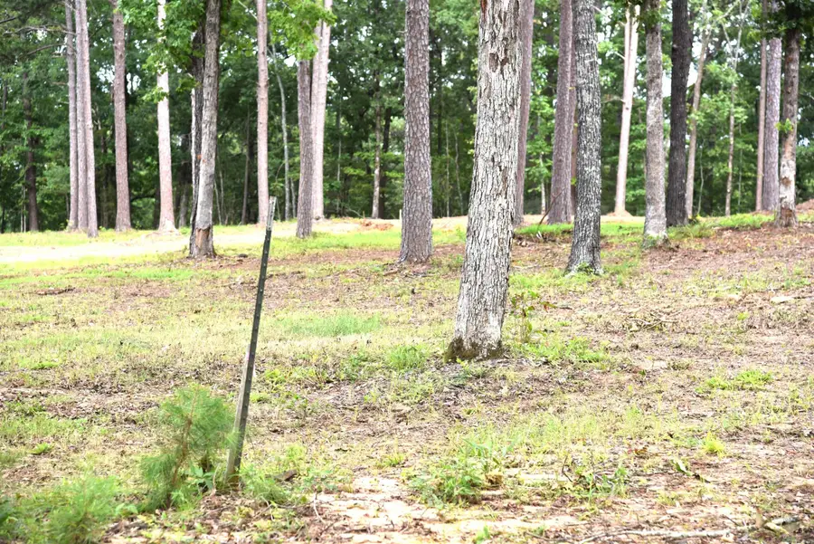 Tract 9 Sunnyside Of The Bay, Fairfield Bay, AR 72088 - #3